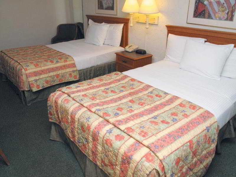 Red Roof Inn Tampa Bay - St. Petersburg Phòng bức ảnh