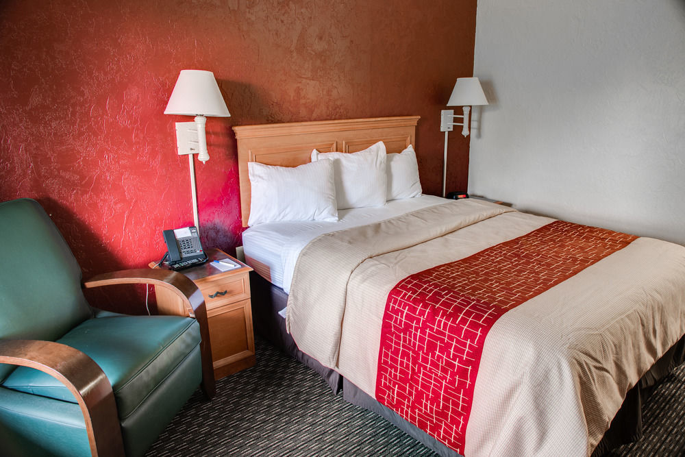 Red Roof Inn Tampa Bay - St. Petersburg Ngoại thất bức ảnh