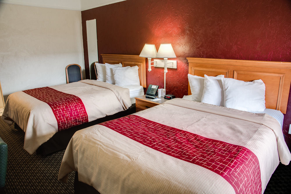 Red Roof Inn Tampa Bay - St. Petersburg Ngoại thất bức ảnh