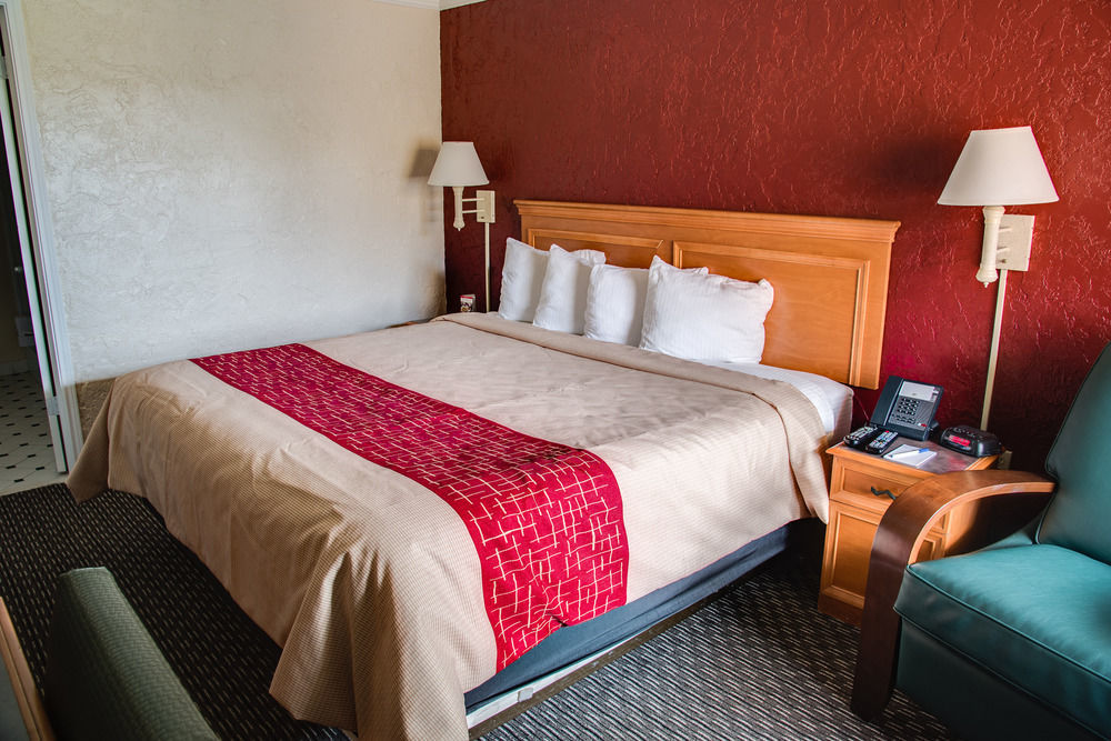 Red Roof Inn Tampa Bay - St. Petersburg Ngoại thất bức ảnh